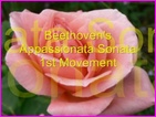 Click to view Miss Denise Hewitt - Classical Flower music video - Appassionata Sonata by Beethoven - 1st Movement