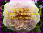 Click to view Miss Denise Hewitt - Classical Flower music video - Appassionata Sonata - 2nd and 3rd Movements