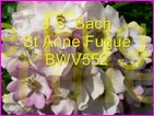 Click to view Miss Denise Hewitt - Classic Flower Music Video - J.S. Bach St Anne Fugue - BWV552