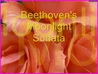 Click to view Miss Denise Hewitt - Classic Flower Music Video - Beethoven Moonlight Sonata - Opus 27 Number 2 - Complete