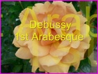Click to view Miss Denise Hewitt - Classical Flower music video - Claude Debussy - 1st Arabesque for Piano