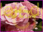 Click to view Miss Denise Hewitt - Classical Music Video - Claud Debussy - Clair de Lune