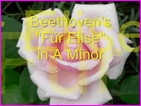 Click to view Miss Denise Hewitt - Classical Music Video - Fur Elise by Beethoven - Bagatelle in A Minor