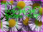 Click to view Miss Denise Hewitt - Classic Flower Music Video - Aram Khachaturian Toccata written in 1932