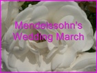 Click to view Miss Denise Hewitt - Classic Flower Music Video