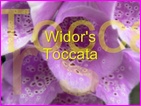 Click to view Miss Denise Hewitt - Classic Flower Music Video - Widor Toccata from his 5th Organ Symphony
